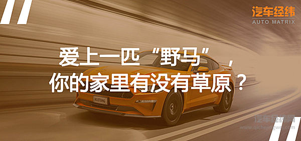 “两面派”美式肌肉跑车出场！ 这匹“野马”你降得住吗？