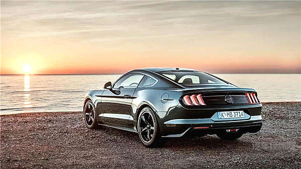 55岁的小马驹，生日快乐