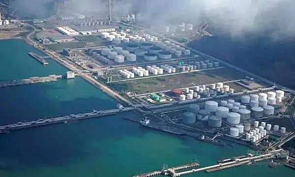 新能源汽车在2020年该如何推广？国内众多车企已有应对措施