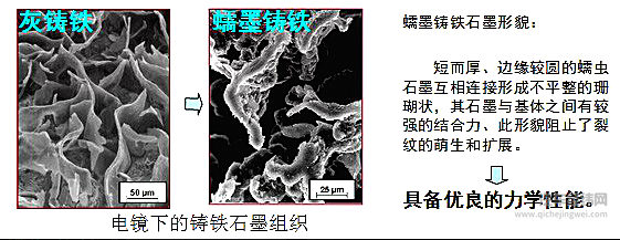 江铃蠕墨铸铁发动机 “后起之秀”强势登场