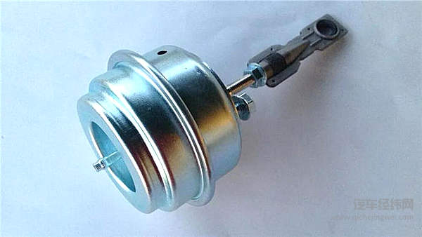 涡轮车里都养了一只鸟？