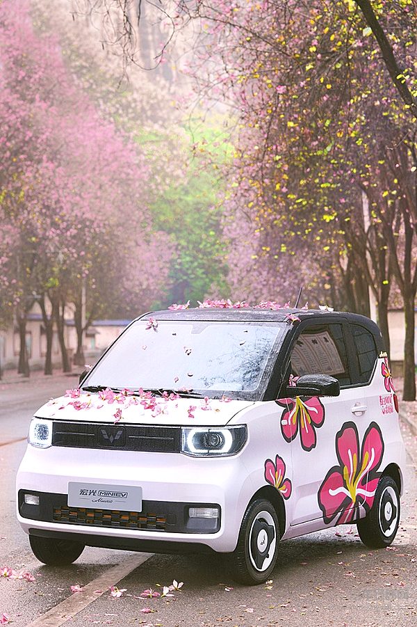 渗透率超过60% 上汽通用五菱能否成功转型？