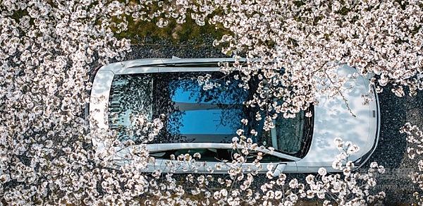 百公里亏电油耗2.9L综合续航2100km 秦L真的完胜银河L6吗？