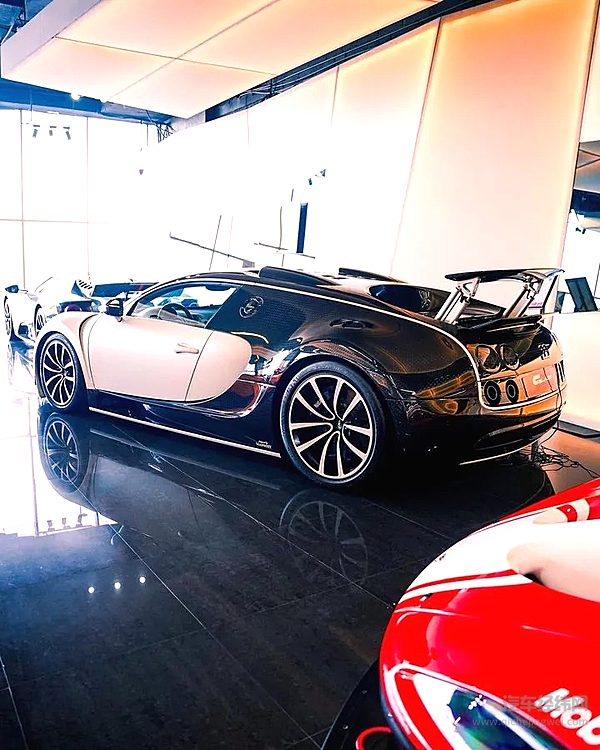 布加迪VeyronMansoryVIVERE特别版