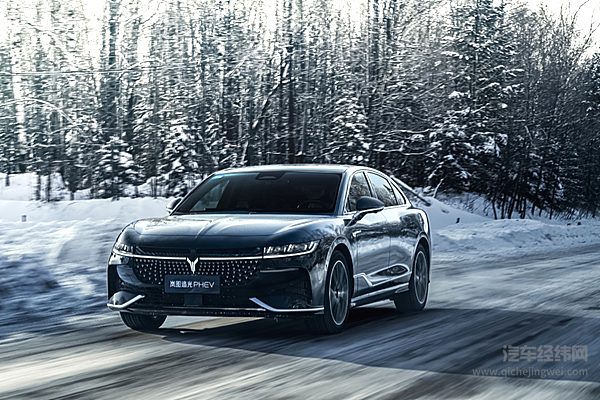 梦想家拿下半壁江山 岚图2024年前景如何？