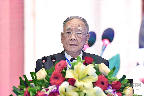 从比亚迪“剪刀差”窥探甲醇汽车未来