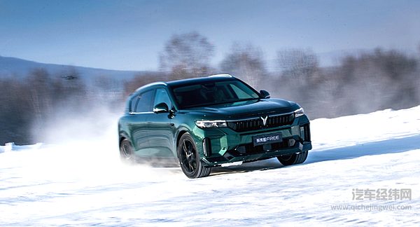 梦想家拿下半壁江山 岚图2024年前景如何？