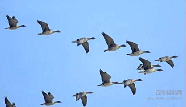 东风：我有一个高端梦！