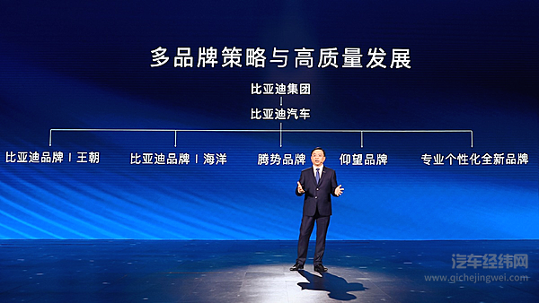 瞄准百万级市场 比亚迪的“仰望”能否成功？