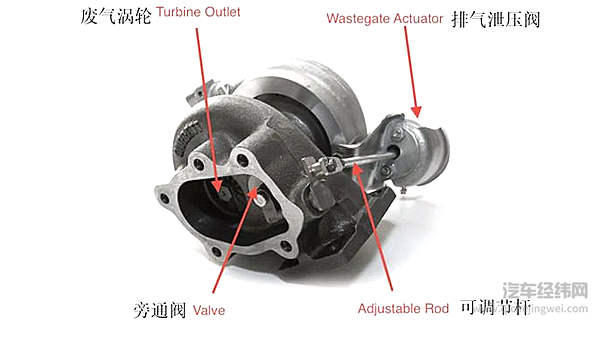 涡轮车里都养了一只鸟？