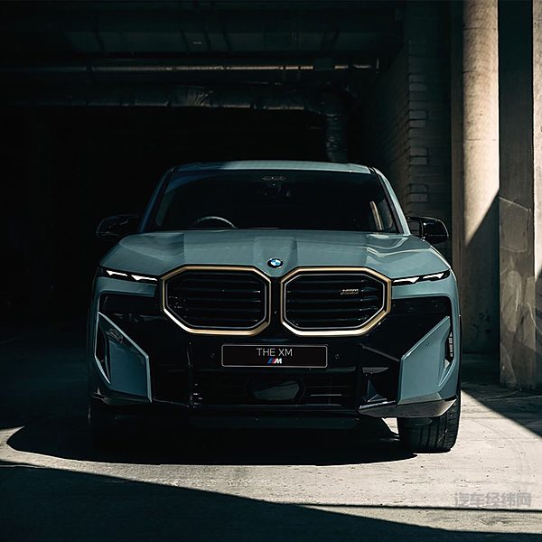 德国汽车市场表现良好 国产品牌何时能站稳脚跟？