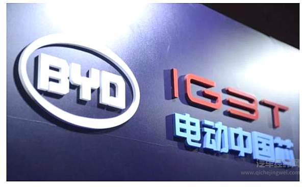 比亚迪海豚会不会是下一个爆款？