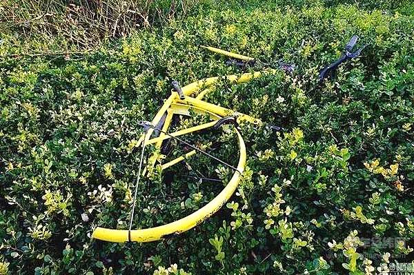 一台共享电动车的自白