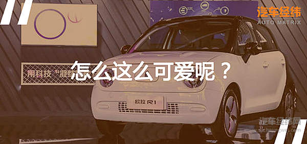 萌物驾到！ 看欧拉R1如何卖的一手好“萌”？！