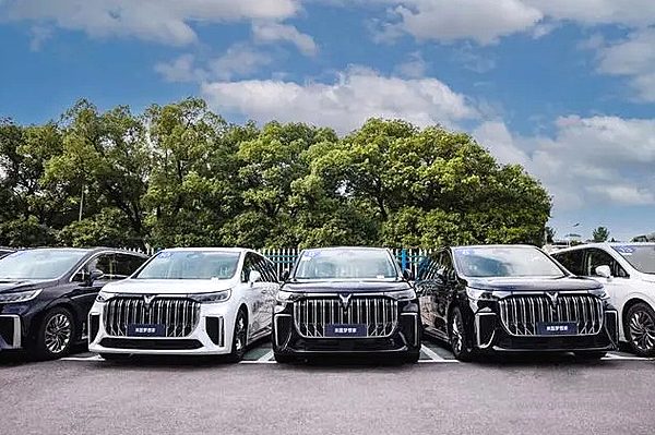 助力中非经贸合作 岚图梦想家已做好准备