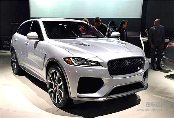 “新欢”突然出现 哪一款才是你的菜？