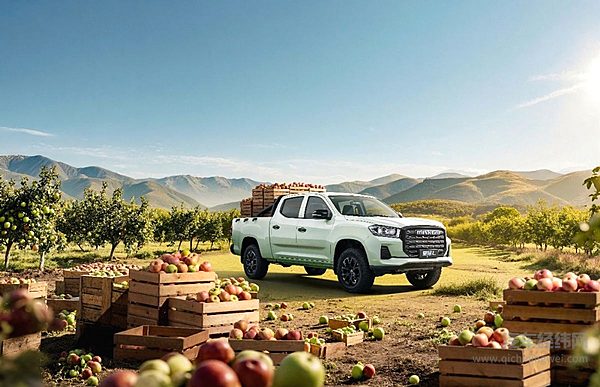 上汽大通2026款星际L