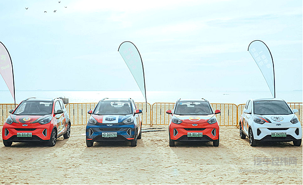 大小蚂蚁齐上阵 奇瑞在微型车的优势是否能延续到新能源车？