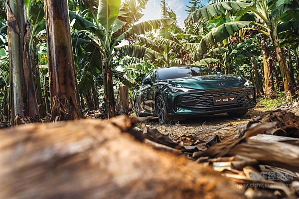 MG 7正式“复活” 能否得到年轻人的青睐？