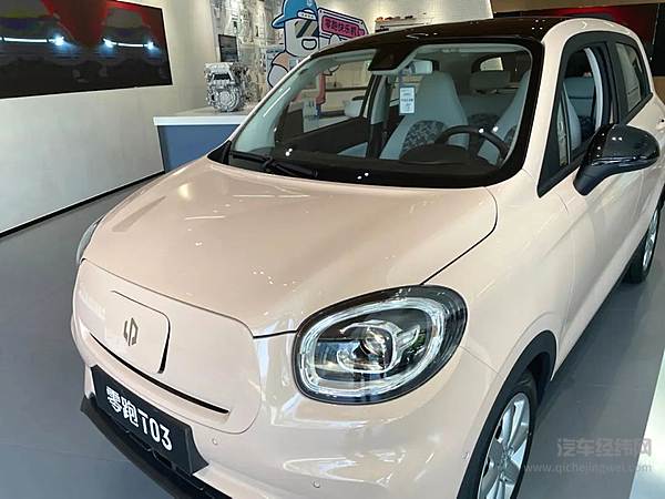 8万元微型纯电动车型二选一 零跑T03和思皓花仙子谁更划算？