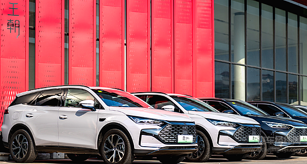 年轻派VS顾家党 领克08 EM-P与唐DM-i谁更懂你的生活？