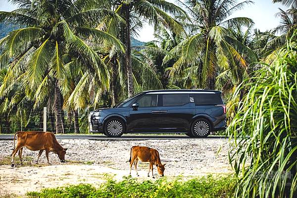 新老玩家不断加入 高端MPV市场真的那么吸引人吗？