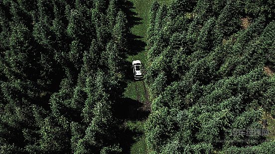 坦克“点亮地球计划”正式启动 用户共创全球路书