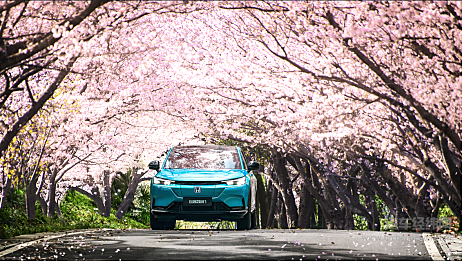 本田e:NS1能把本田汽车带入新能源正轨吗？