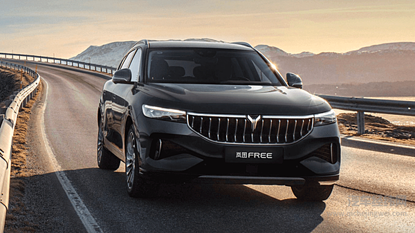 超长续航纯电版问世 将带动岚图FREE回归主流？