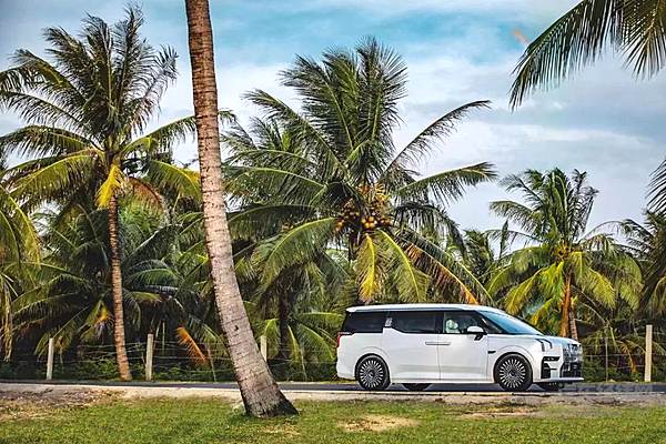 冲击高端新能源MPV市场 国产品牌有何实力？