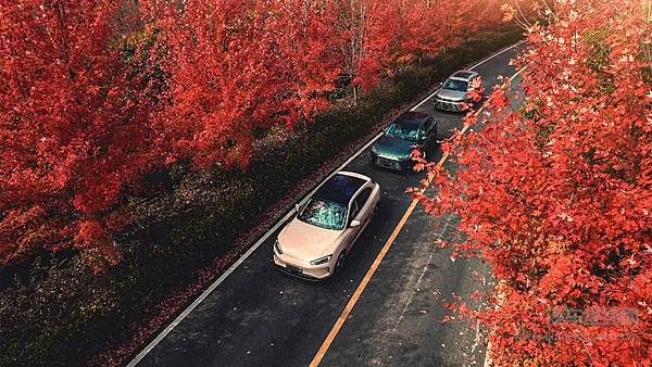 比亚迪向左特斯拉向右 新能源厂商分化加剧