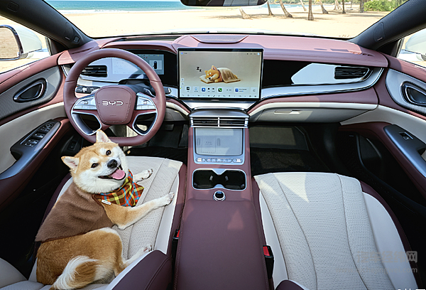 比亚迪海洋600万销量达成 8系双旗舰车型开启高端新局