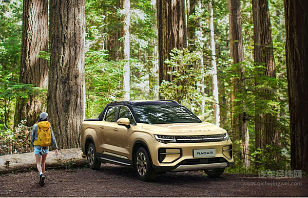 2023国内皮卡市场会迎来反弹吗？