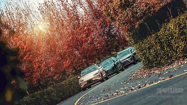 在争议中成长的增程式电动究竟算不算新能源？