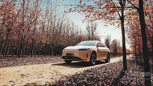 在争议中成长的增程式电动究竟算不算新能源？