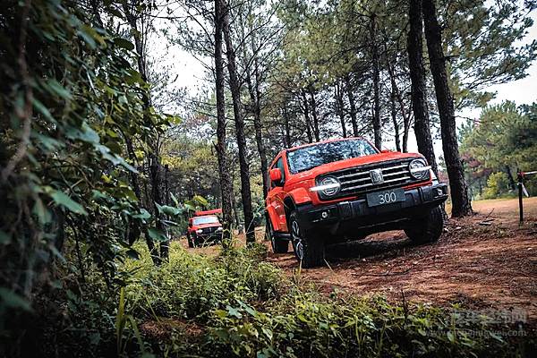 对标奔驰大G 比亚迪仰望将补齐比亚迪的豪华越野拼图？