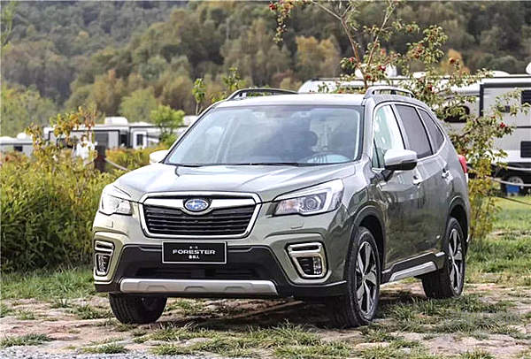 快节奏的生活过太久 森林人给你一个机会体验慢生活