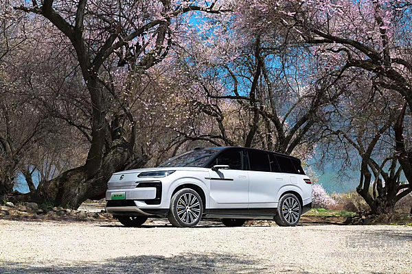 家庭露营VS商务接待 40万SUV选问界M8还是腾势N9？