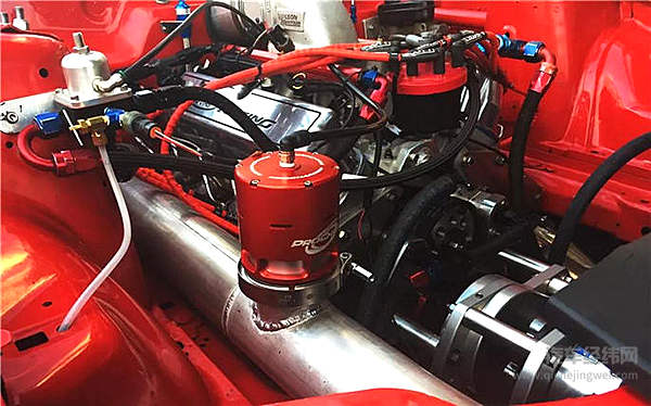 涡轮车里都养了一只鸟？