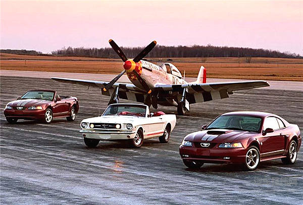 一匹脱缰野马的传奇故事