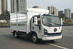 陜汽商用車德龍G1 137馬力 4X2 4.18米 倉柵式國六輕卡載貨車 (扭矩320Nm)(法士特變速箱)(SX5041CCYNP6331)