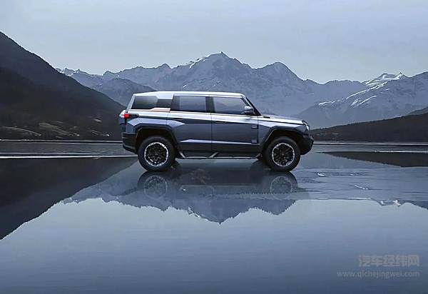 向高端市场进军 国产新能源厂商胜算几何？