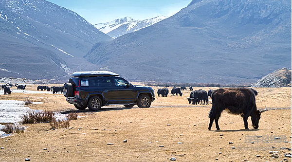 比亚迪通信信号携手中国电信融创