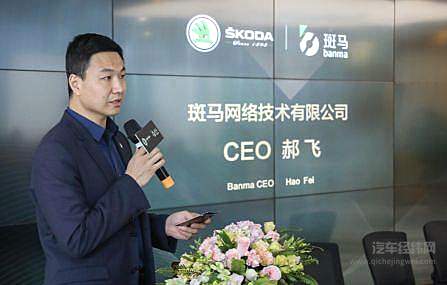 斑马的阿里时代