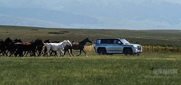 用科技营造豪华 猛士917与仰望U8各有特色