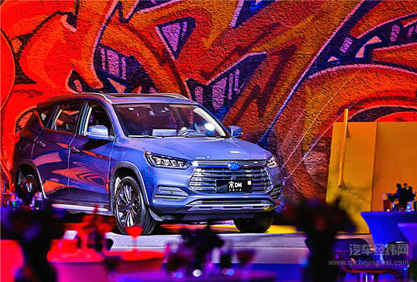 都去成都找“抖音小甜甜” 而我却想养活TA！