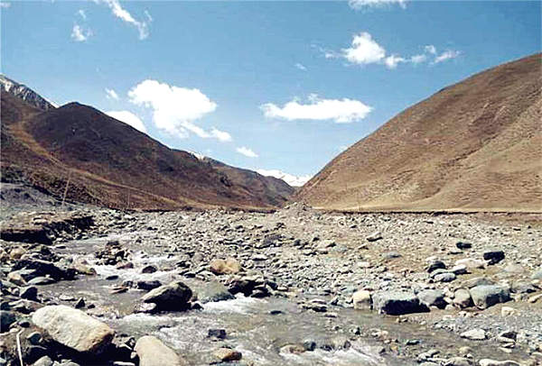 陈卫峰：人生不必完美，但必须精彩