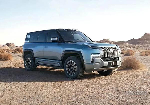 向高端市场进军 国产新能源厂商胜算几何？