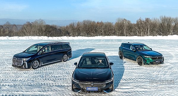 梦想家拿下半壁江山 岚图2024年前景如何？