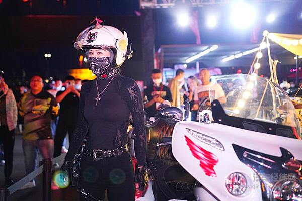 黑弹、旅装炮正式交车 长城炮阿拉善玩转皮卡车生活